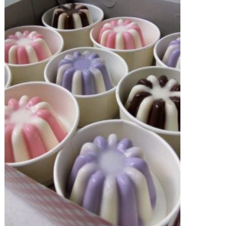 

puding cup shiguma best seller puding surabaya