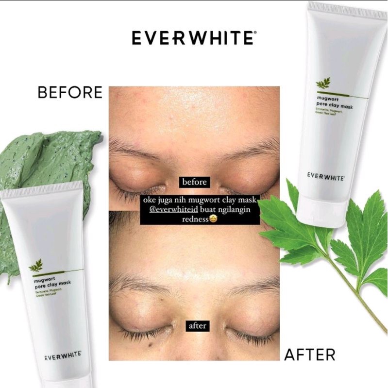 Everwhite Mugwort Pore Clay Mask