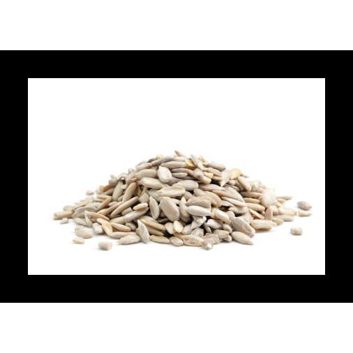 

NEW! SUNFLOWER SEEDS (BIJI BUNGA MATAHARI) 1 KG TERMURAH