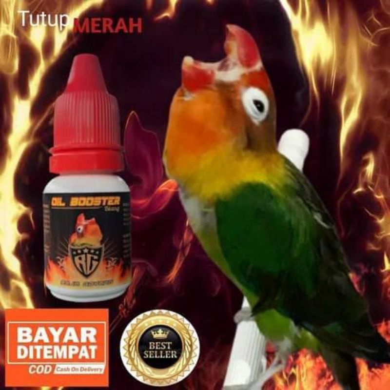 RG OIL BOOSTER Vitamin Lovebird Jantan Betina Gacor Fighter