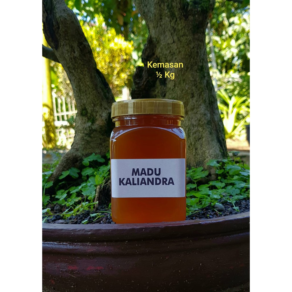 

MADU KALIANDRA 500gr / RAW HONEY / MADU HUTAN ASLI MURNI