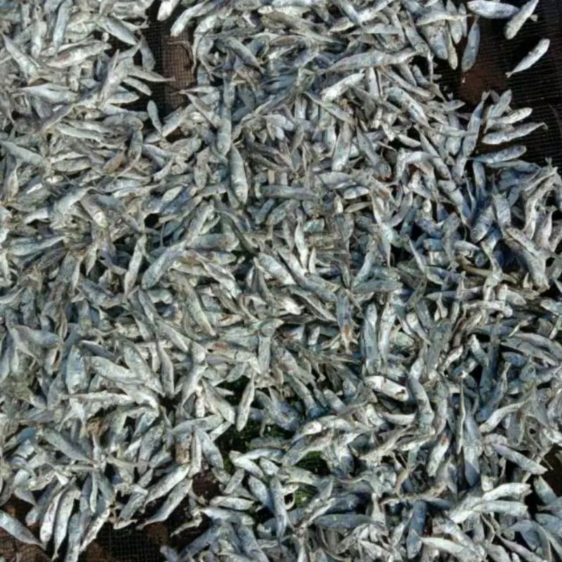 

Ikan Asin Banyar Rebus mini 500gr