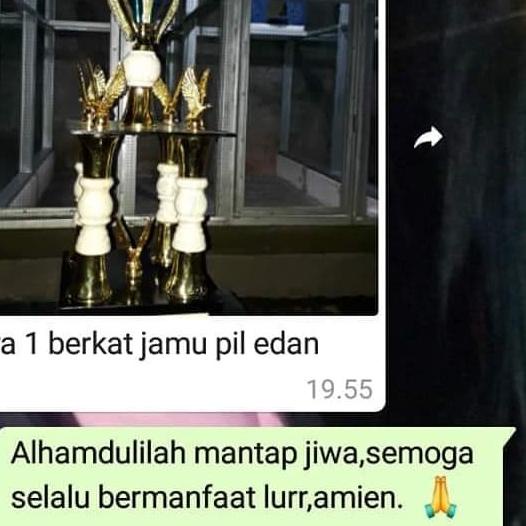 ❋ Pil edan pil edan merpati merpati edan jamu burung merpati ℗