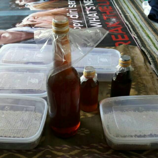 

Madu Asli 600kg