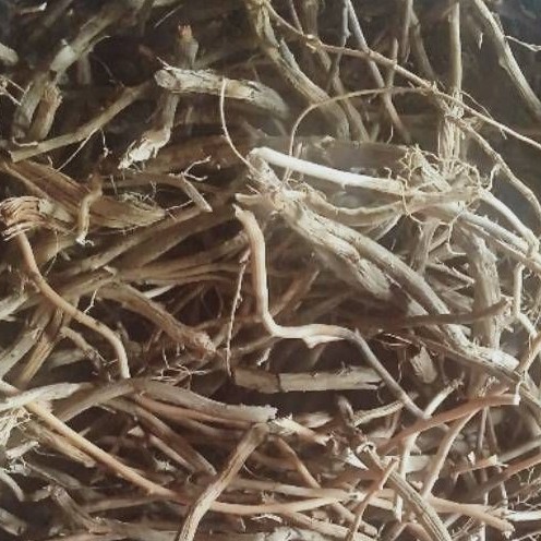 Obat sifilis/rajasinga, akar smilax