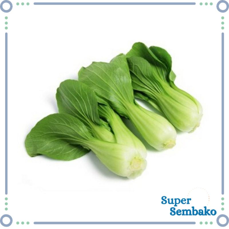 

SAYUR SAWI DAGING PENDEK PAKCOY / POKCOY 500g 1kg SEGAR FRESH BERKUALITAS SUPER SEMBAKO MAKASSAR