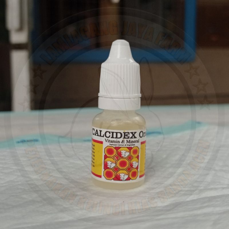 Calcidex oral - Obat kelinci pincang / Susah jalan