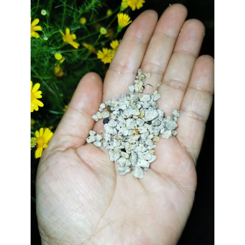 media tanam batu pumice kecil (S)