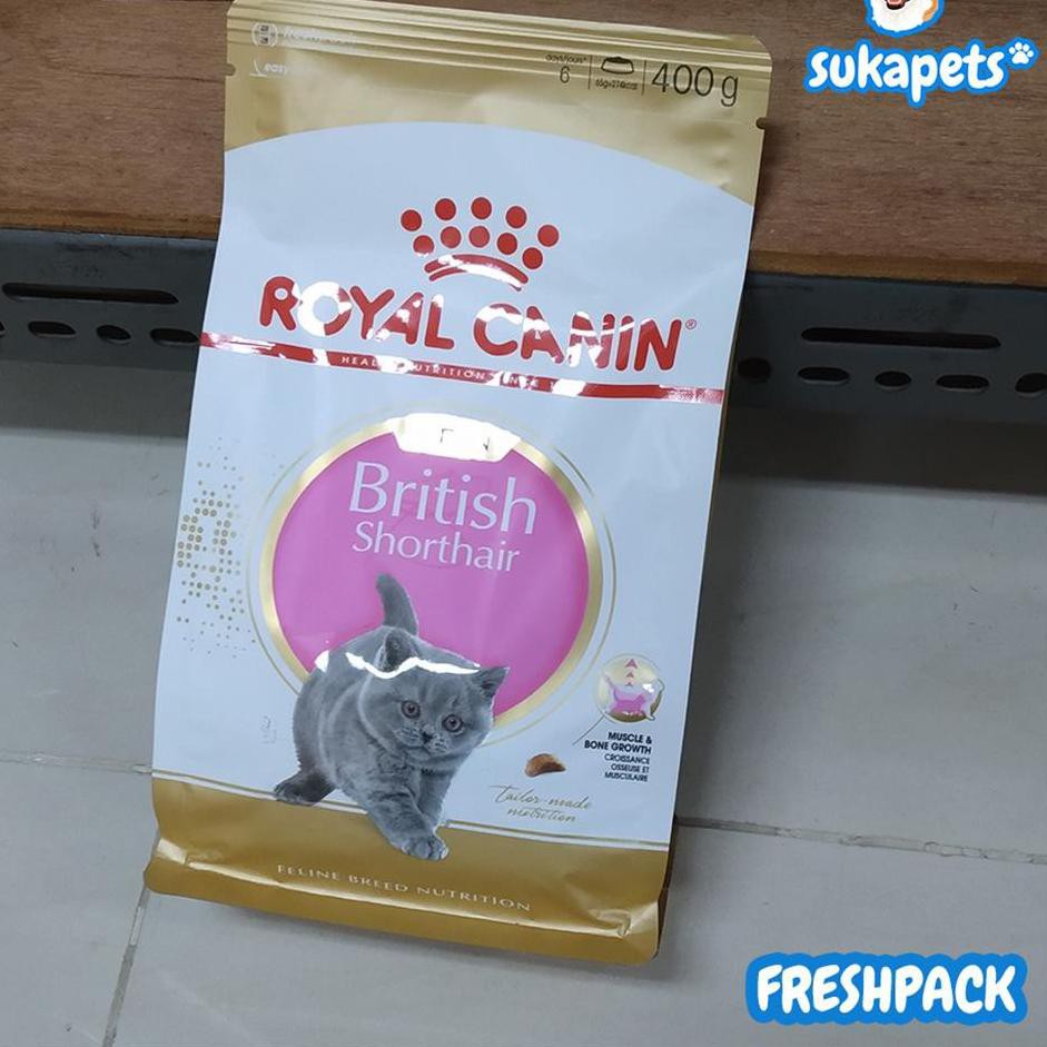 PromoProdukViral Royal Canin Kitten British Shorthair Makanan Anak Kucing Dry 400gr Banyak Diskon ☺