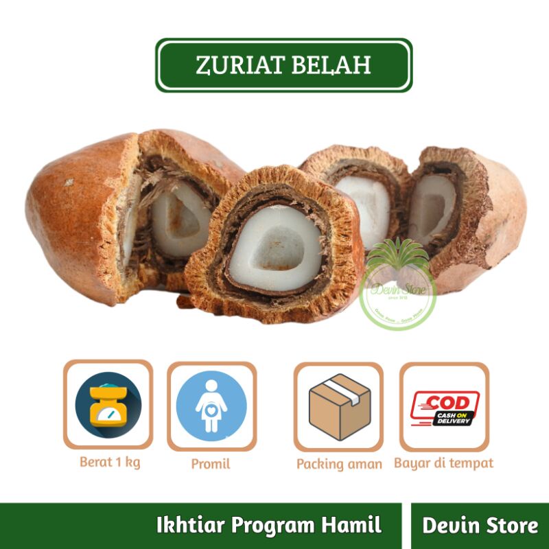 

Buah Zuriat Mesir Belah - Utuh 1 Kg / Promil / Zuriyat