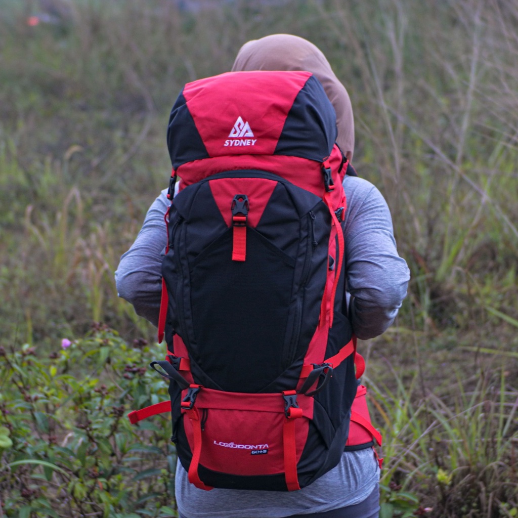 tas carrier 60+5L back system torso SYDNEY ADVENTURE / Tas carrier outdoor 60+5L SA