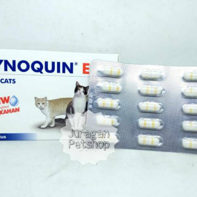 SYNOQUIN EFA (1 CAPSULE) | Suplemen Tulang|Sendi|Otot Kucing | Vitamin Kucing Terbaik Original