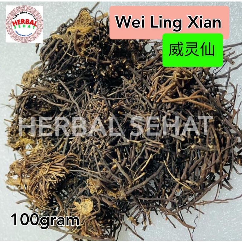 

[100gram] Wei Ling Xian / Chinese Clematis Root - [ ] - Radix Clematidis Chinensis