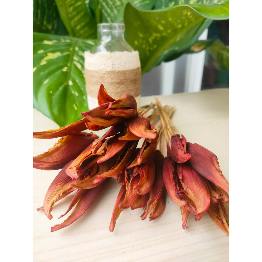 FG - 10 PCS  WARNA MERAH BUNGA PISANG PISANGAN -Hiasan Buket Bunga Kering Dekorasi Rustic Mahar Craf