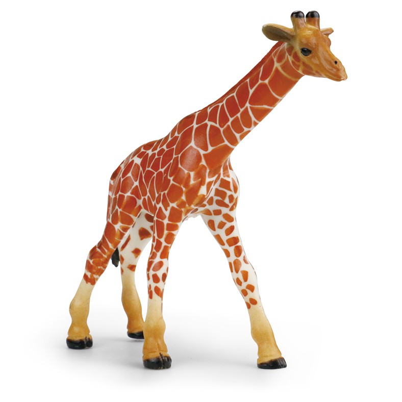 Kkv New Canna 5 Inch Baby Giraffe Bayi Jerapah X2023 Figure Hewan Animal Model Toys Shopee Indonesia