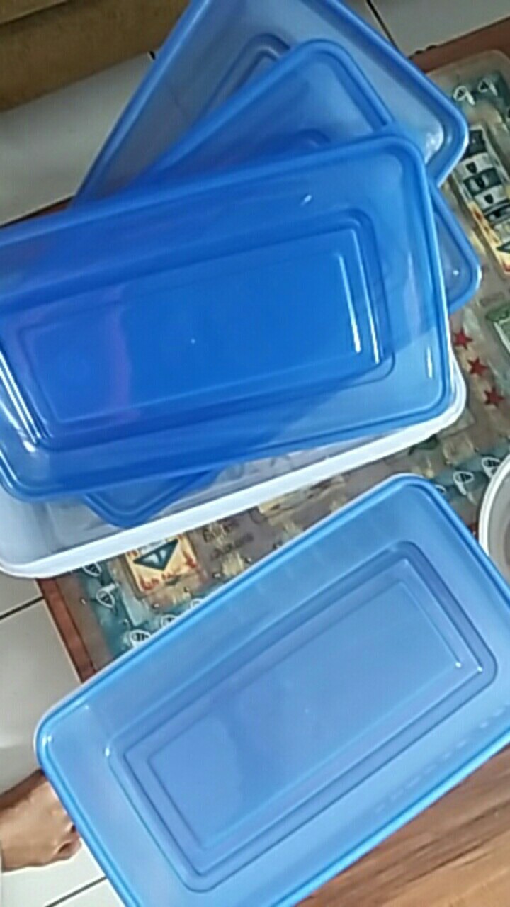 Kotak Plastik Penyimpanan Storage Box Wadah Makanan Plastik Pp Food Grade 2400ml