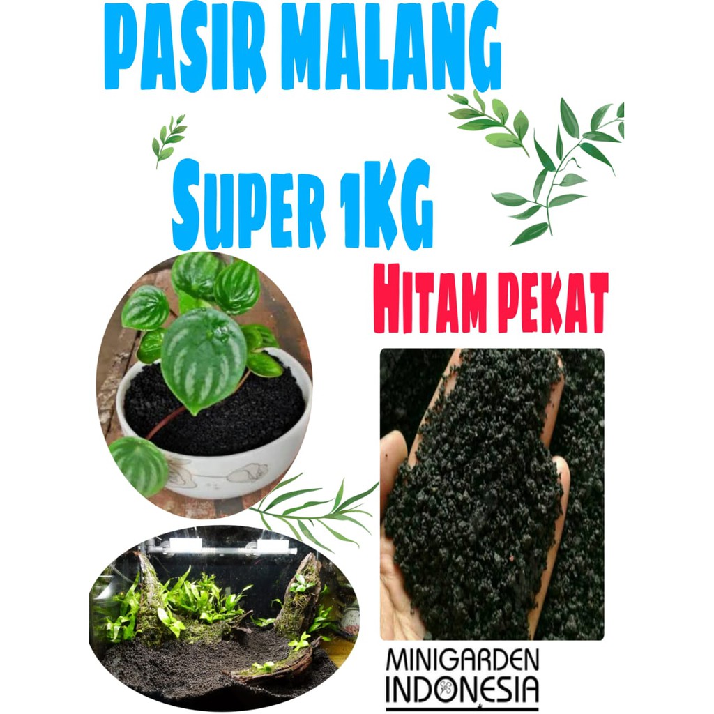 PASIR MALANG SUPER 1KG media tanam sekulen aglaonema media dasar aquascape aquarium