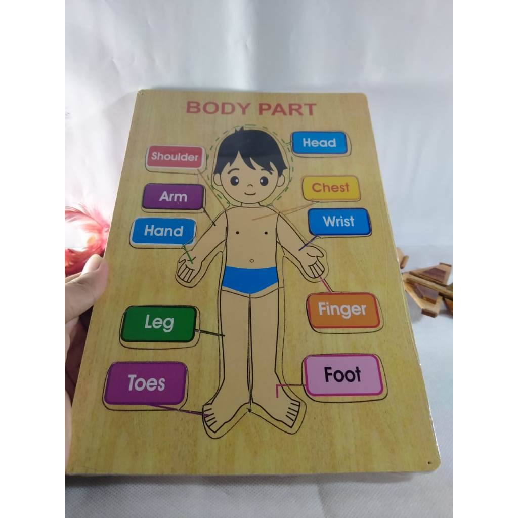 PUZZLE KAYU. MAINAN EDUKASI. PUZZLE GAMBAR BODY PART BAHAN KAYU. Riens Collections