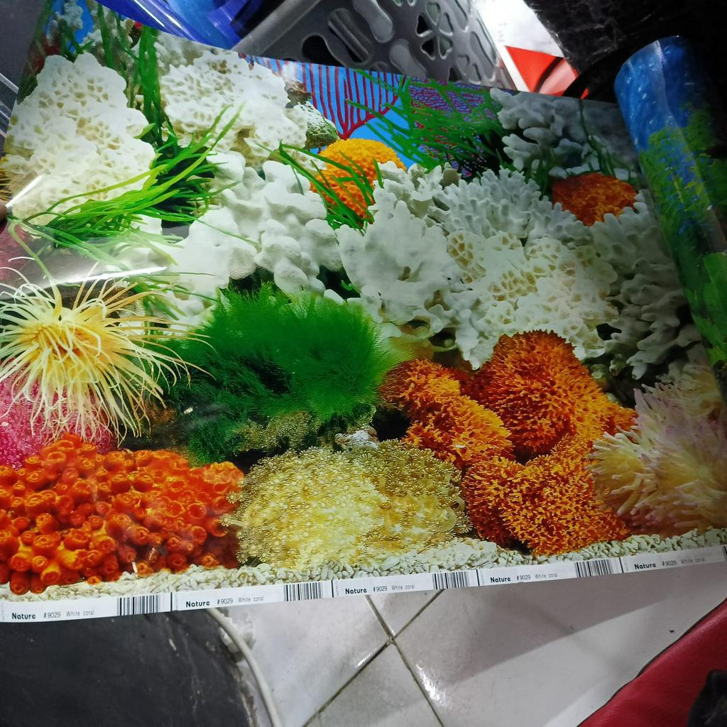 WALPAPER BACKGROUND AQUARIUM 2 SISI 100cm x 60cm dan 100 cm X 40cm MOTIF