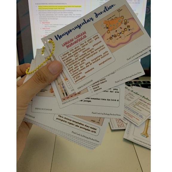 

PRODUK TREND Flashcards by Biology Student Notes 2898 ➲