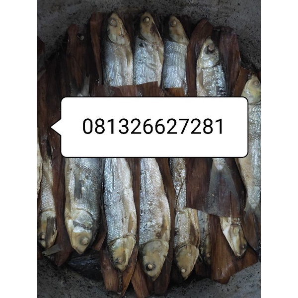 

Bandeng presto atau duri lunak (ibu hj NUR), untuk info pemesanan langsung hub aja kak