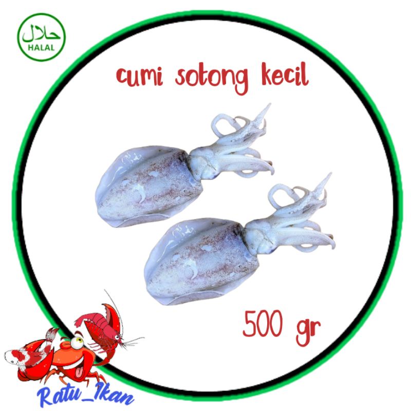 

cumi sotong kecil [500gram] ratu ikan