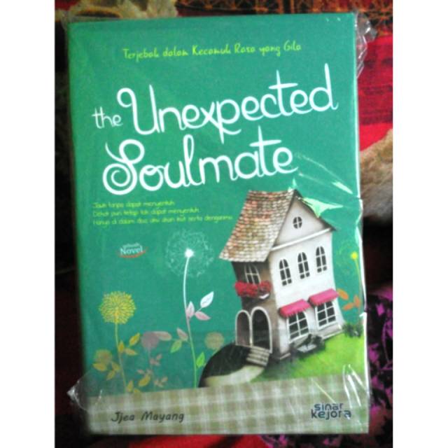 The Unexpected Soulmate