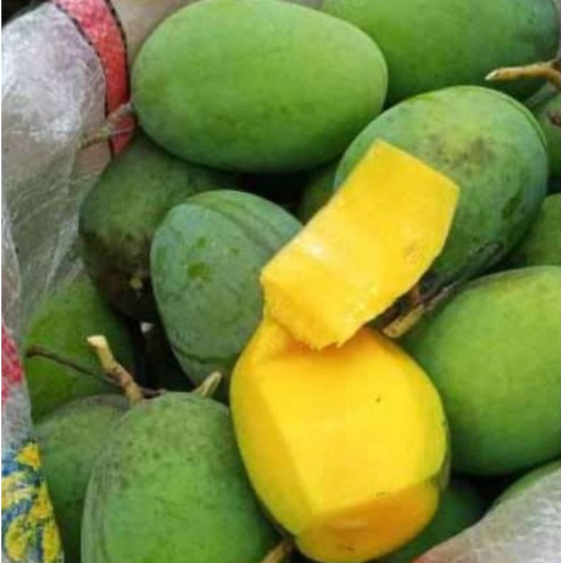 

MANGGA KWENI FRESH 1KG