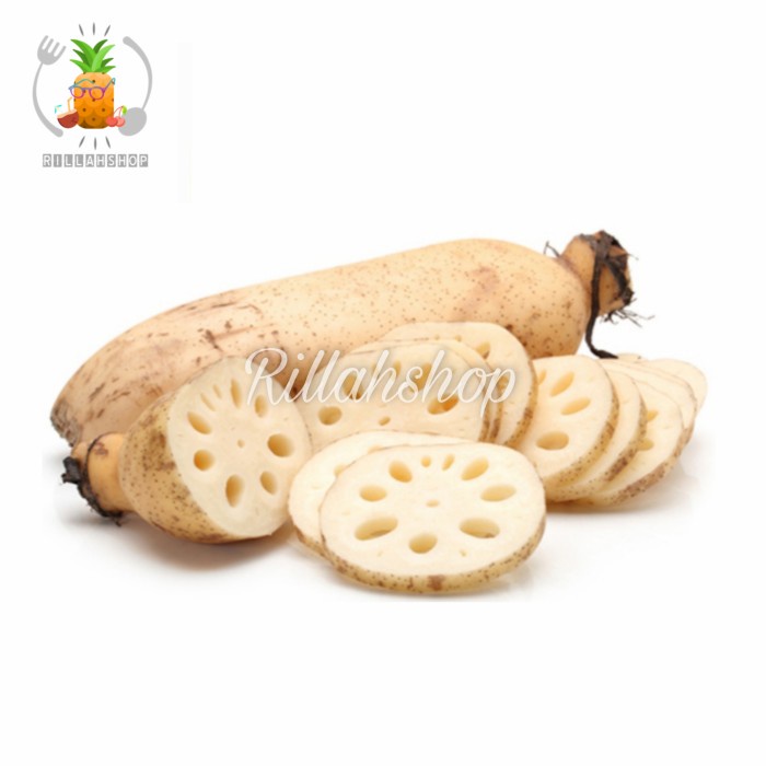 Akar Teratai | Lotus Root | Rengkong (500g)