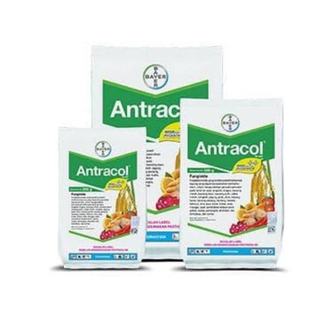 Fungisida Antracol 70WP 250 gram - obat jamur