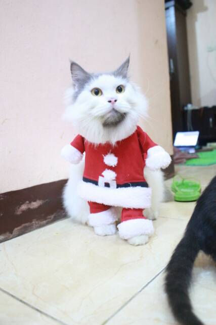 Kostum santa untuk kucing &amp; anjing /Jual Baju Kucing Terlengkap &amp; Berkualitas size S-XL