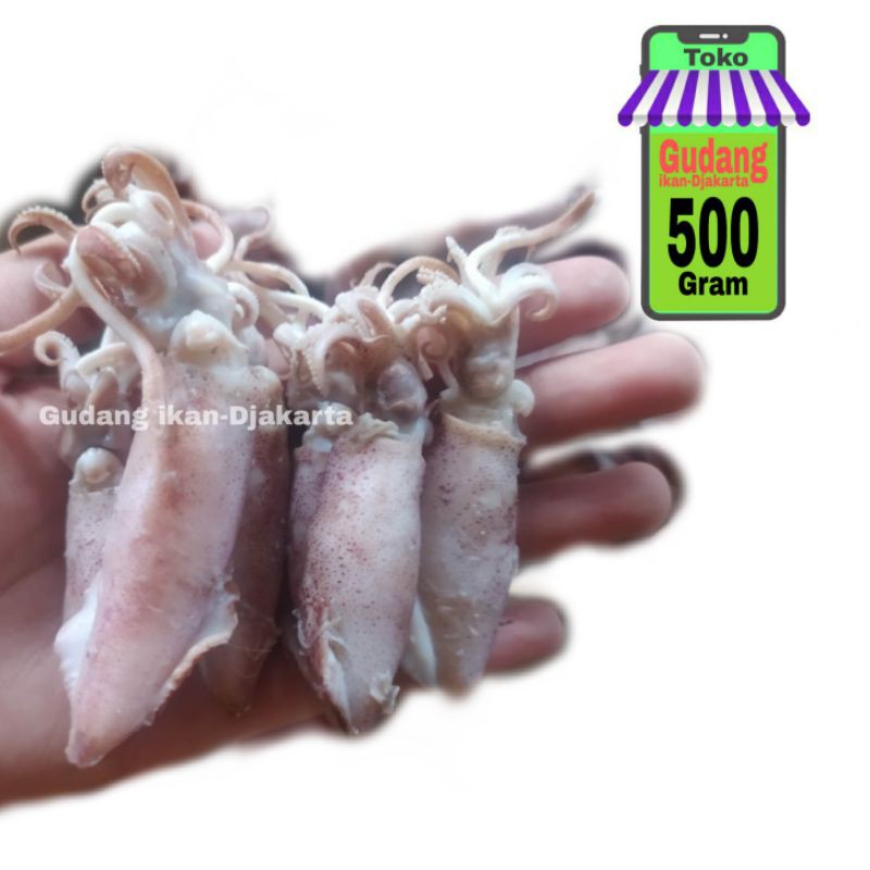 

Ikan asin cumi-500gram