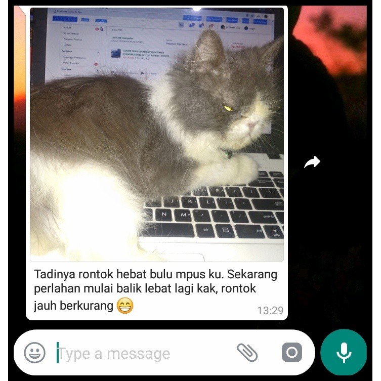 A03-FURMAX VITAMIN KUCING BULU KUCING OBAT KUCING JAMUR KUCING DAYA TAHAN TUBUH