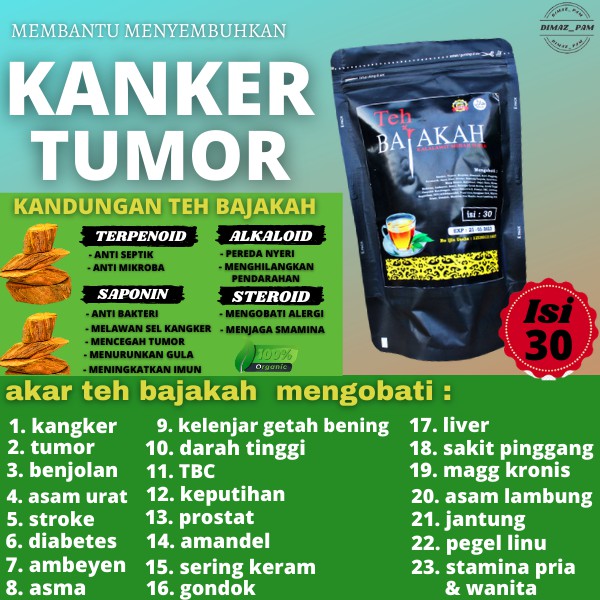 Minyak Urut Dayak ASLI KALIMANTAN + teh bajakh