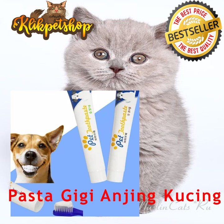 Pasta Gigi Anjing Kucing Pet Tooth Paste Odol Anjing Kucing 75 gram