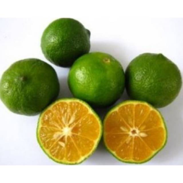 

Jeruk Peras 1 Kg