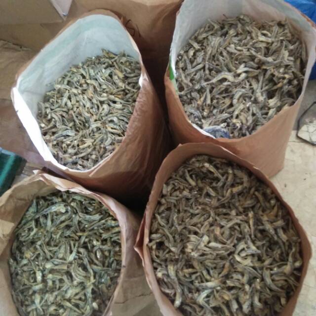 

Ikan Teri kacang