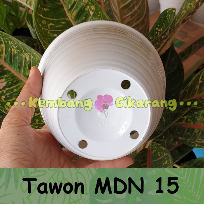 MDN TAWON 15 (15cm) pot bunga model tawon putih dan warna warni