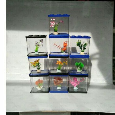 Aquarium cupang/ aquarium lego/ aquarium mini