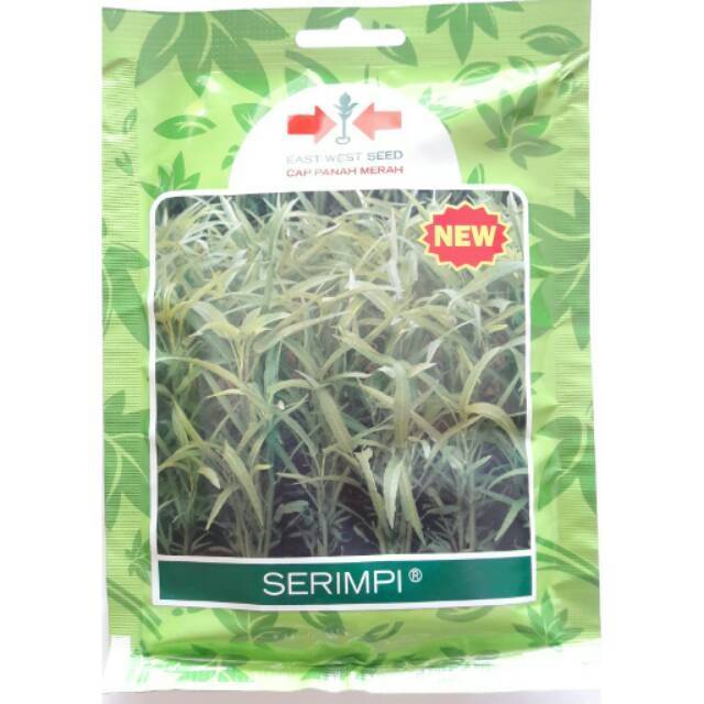 KANGKUNG SERIMPI 1500 BUTIR