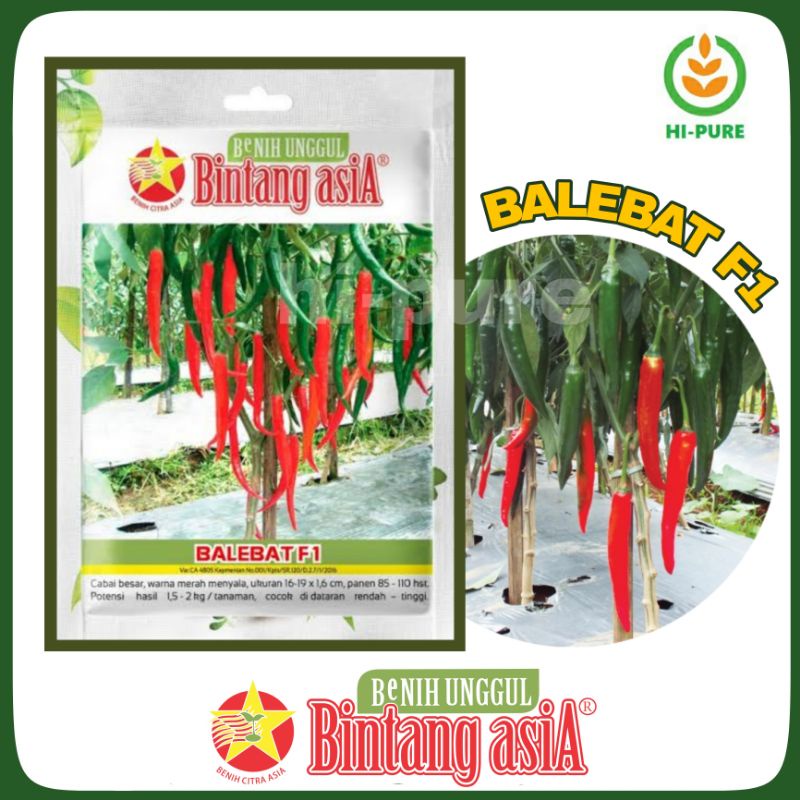 Benih Cabe Cabai Besar Hibrida BALEBAT F1 Isi 150 Biji Cap Bintang Asia