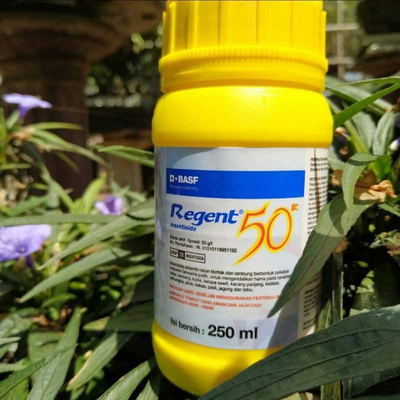 Regent 50sc 250ml