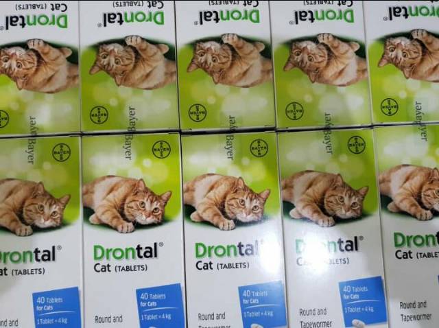 DRONTAL CAT OBAT CACING