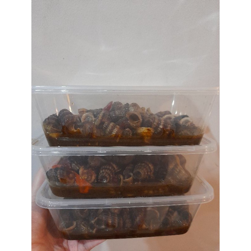 PO frozen.. kol nenek (kerang nenek)