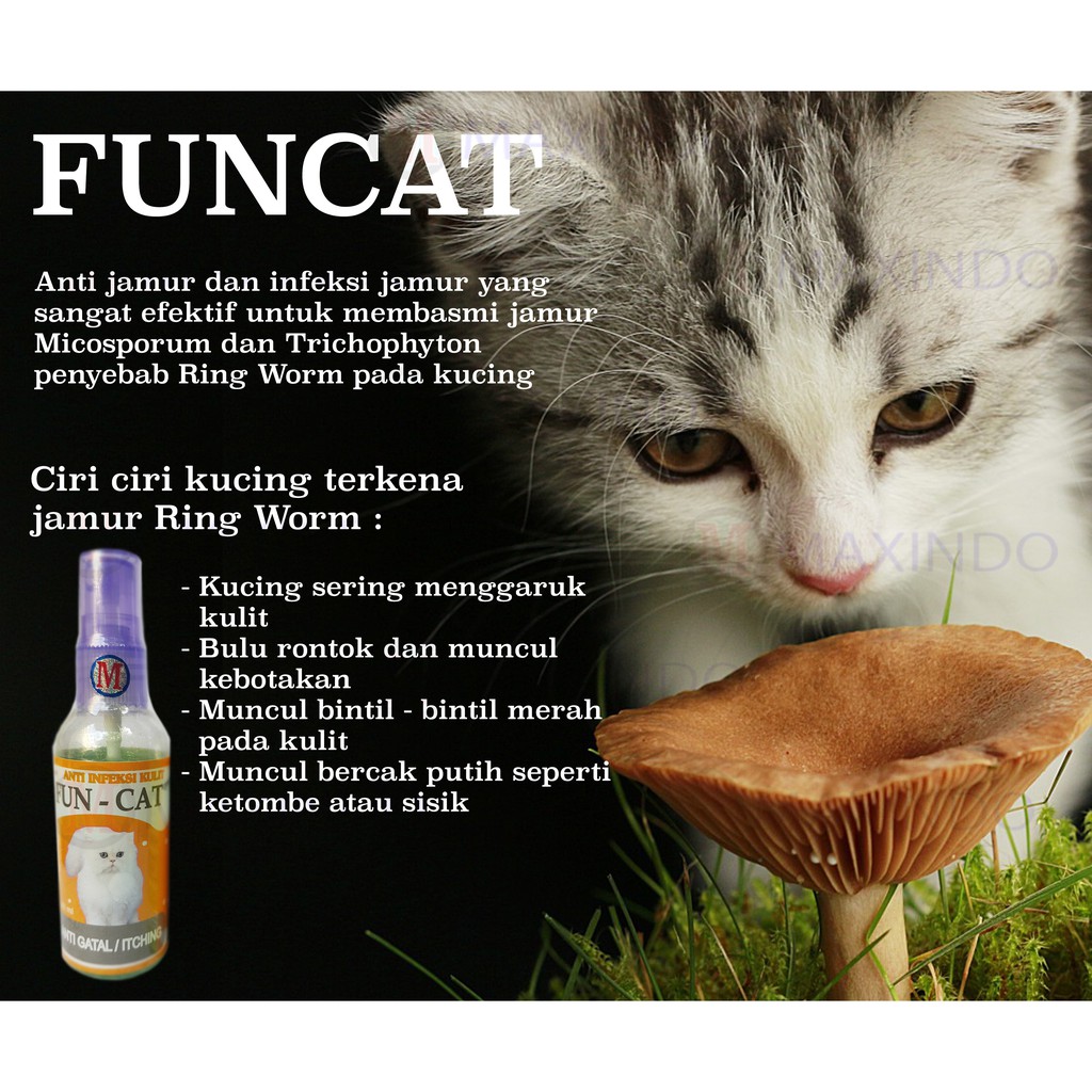 Anti Jamur Kucing Maxindo Fun-Cat 60 ml