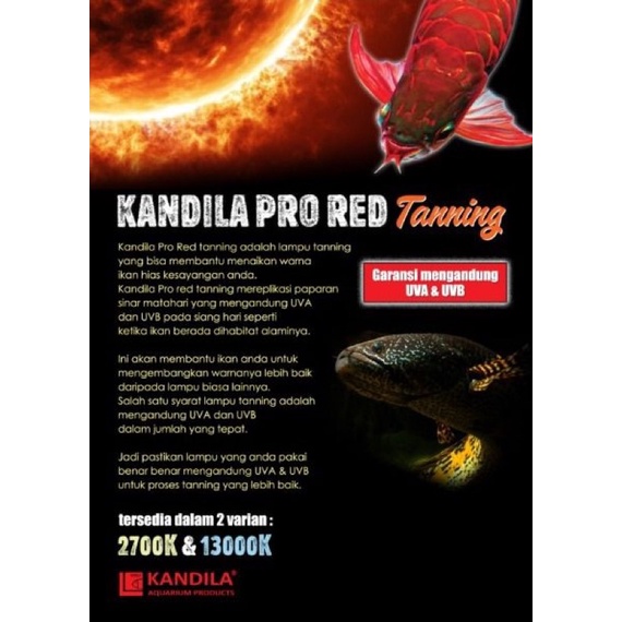 LAMPU TANNING KANDILA PRO RED TANNING 2700K &amp; 13000K