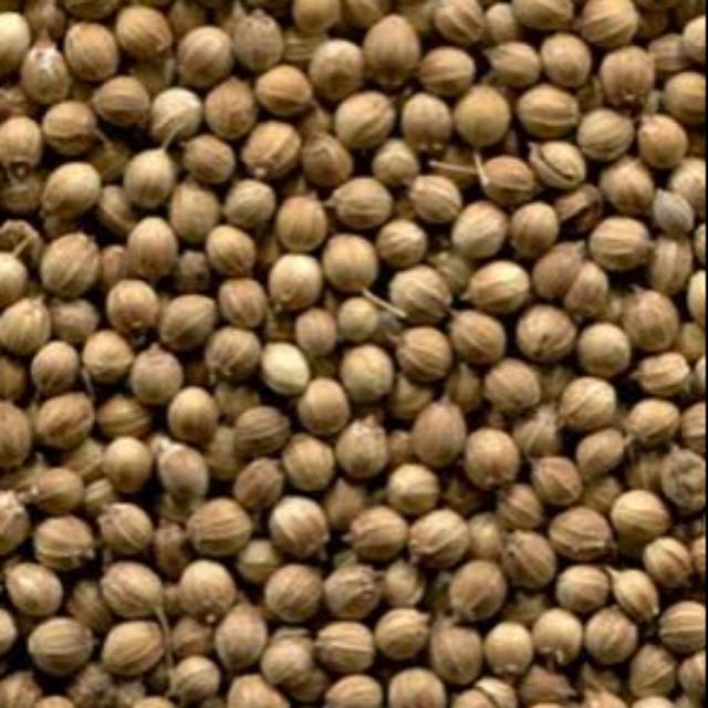 

Ketumbar coklat