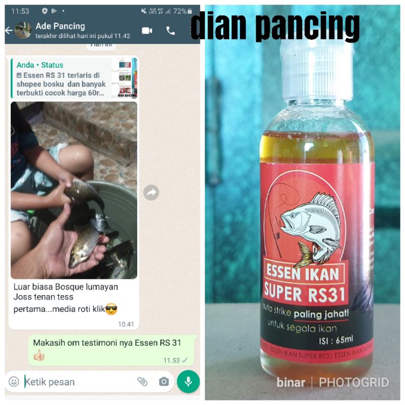 Umpan Pancing Essen RS 31 Aroma Gurih &amp; Amis Untuk Babon Ikan Mas