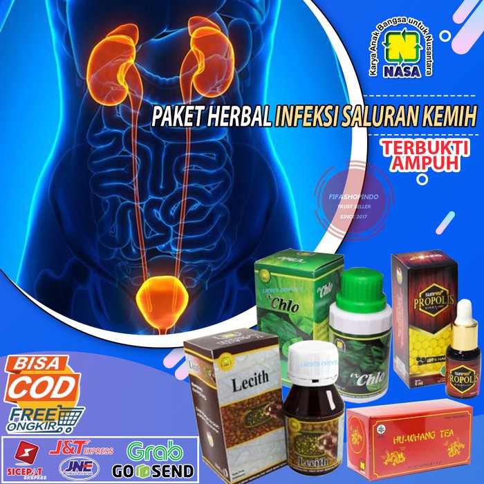 OBAT HERBAL INFEKSI SALURAN KEMIH OBAT INFEKSI SALURAN KEMIH WANITA