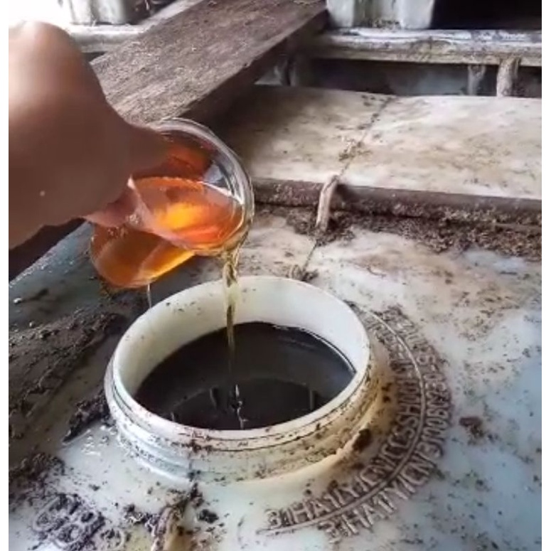 

minyak kelapa
